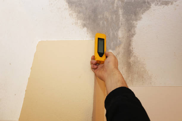 Best Biohazard Mold Removal  in Grenelefe, FL