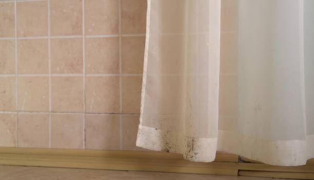 Best Attic Mold Removal  in Grenelefe, FL
