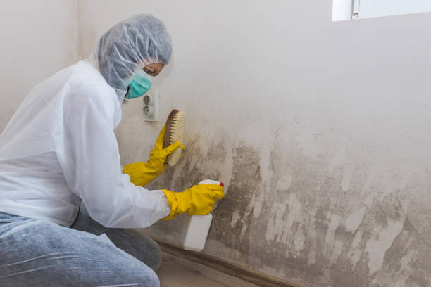 Best Airborne Mold Testing  in Grenelefe, FL