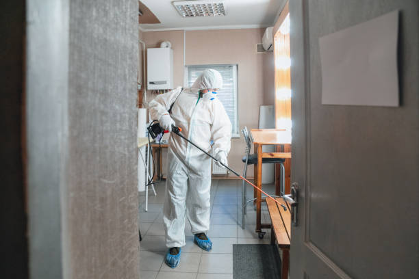 Best Mold Remediation for Rental Properties  in Grenelefe, FL