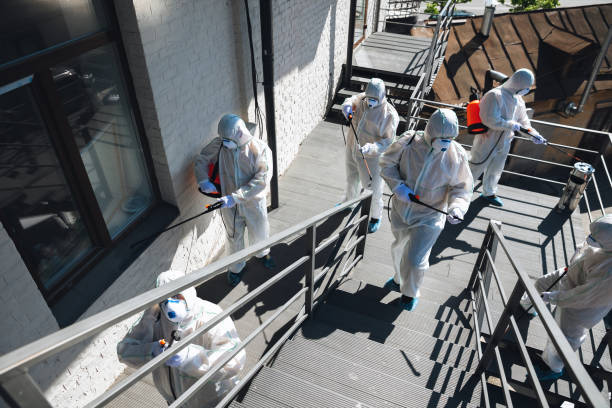 Best Comprehensive Air Testing for Mold Contaminants  in Grenelefe, FL