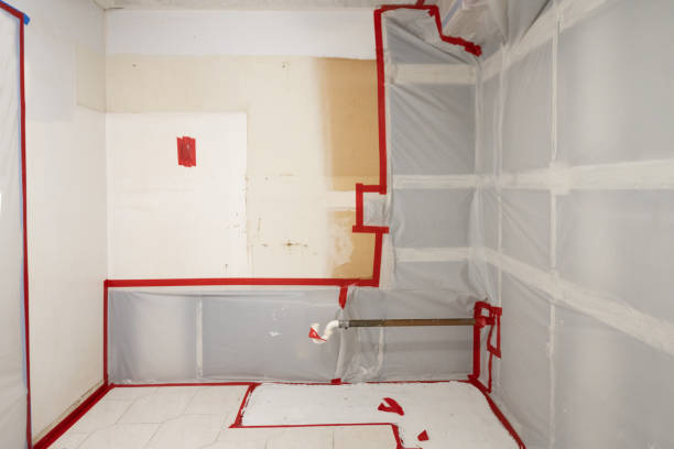 Best Post-Remediation Verification Testing  in Grenelefe, FL