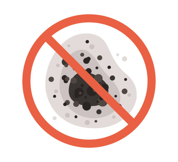 Mold Remediation for Rental Properties in Grenelefe, FL