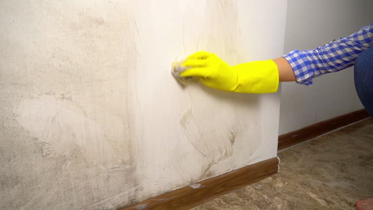Best Asbestos and Lead Testing During Mold Inspection  in Grenelefe, FL