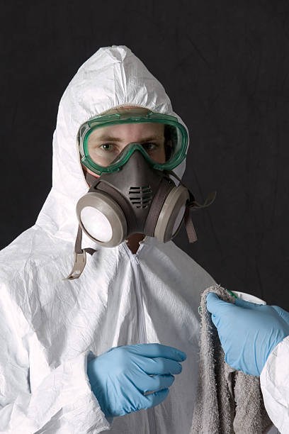 Best Black Mold Removal  in Grenelefe, FL